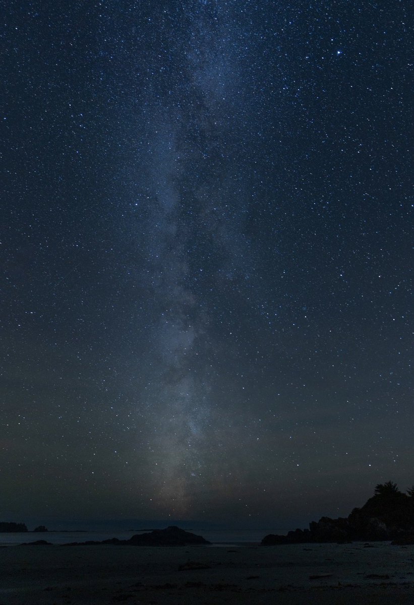 Long Beach Lodge tweet media