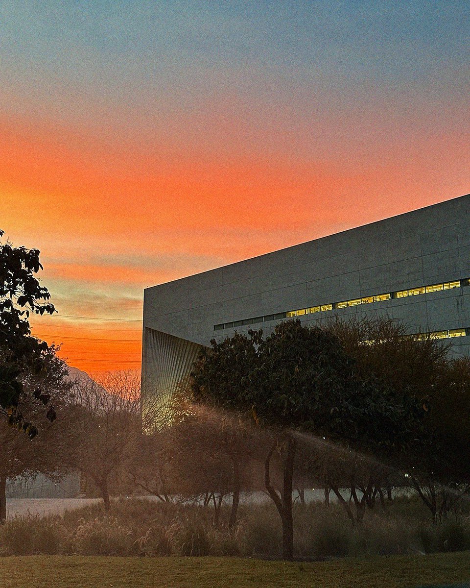 Universidad de Monterrey tweet media