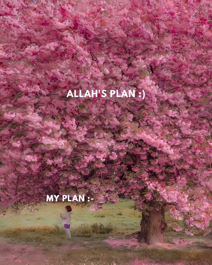 Allah's Plan 🌸🤍🌸