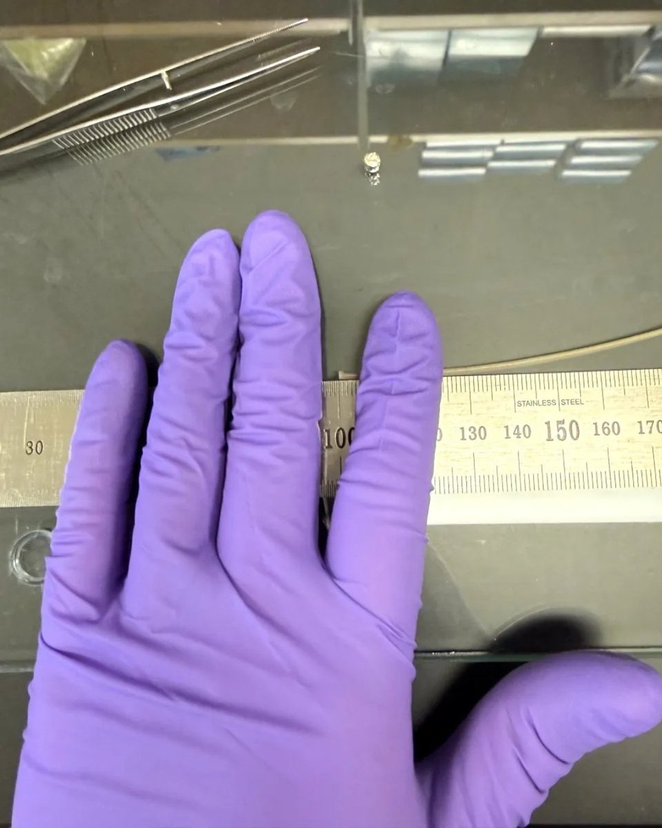 NOAA Sea Grant tweet media