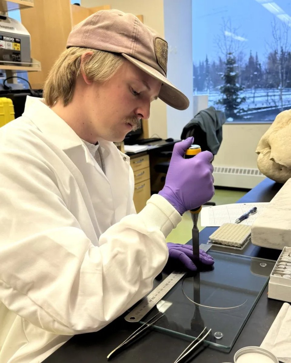 NOAA Sea Grant tweet media