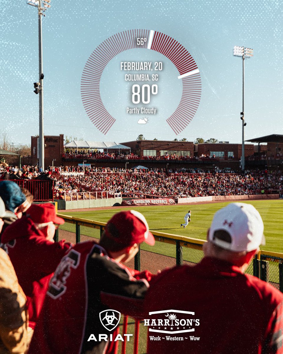 South Carolina Baseball tweet media