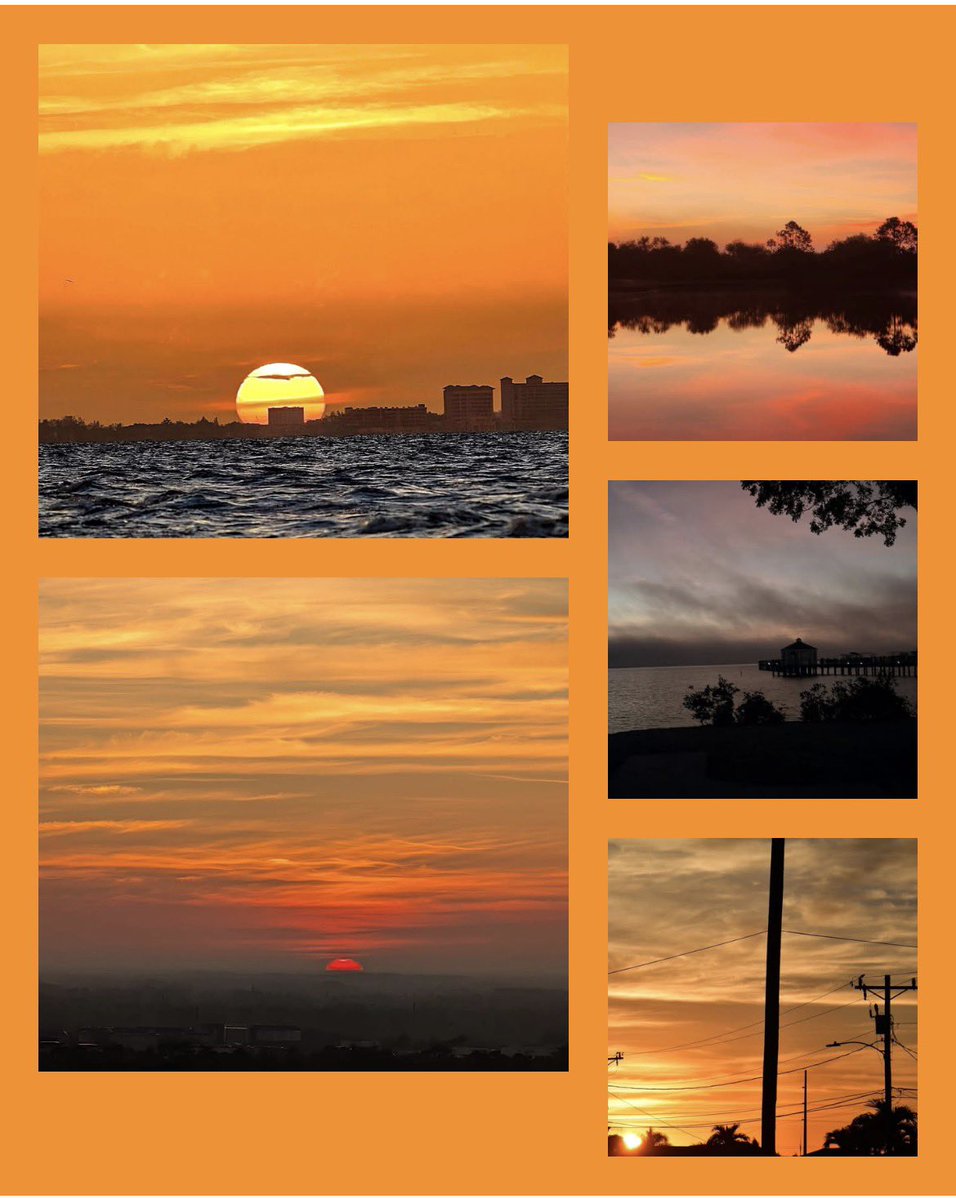 Greg Rule tweet media