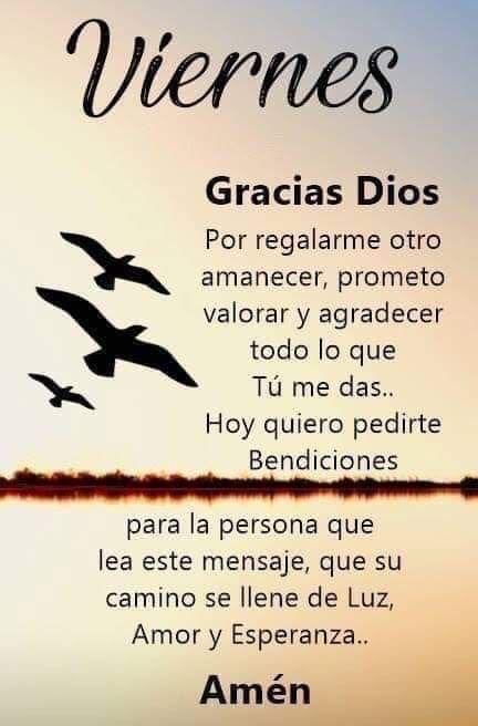 Pattygb 🇲🇽 tweet media