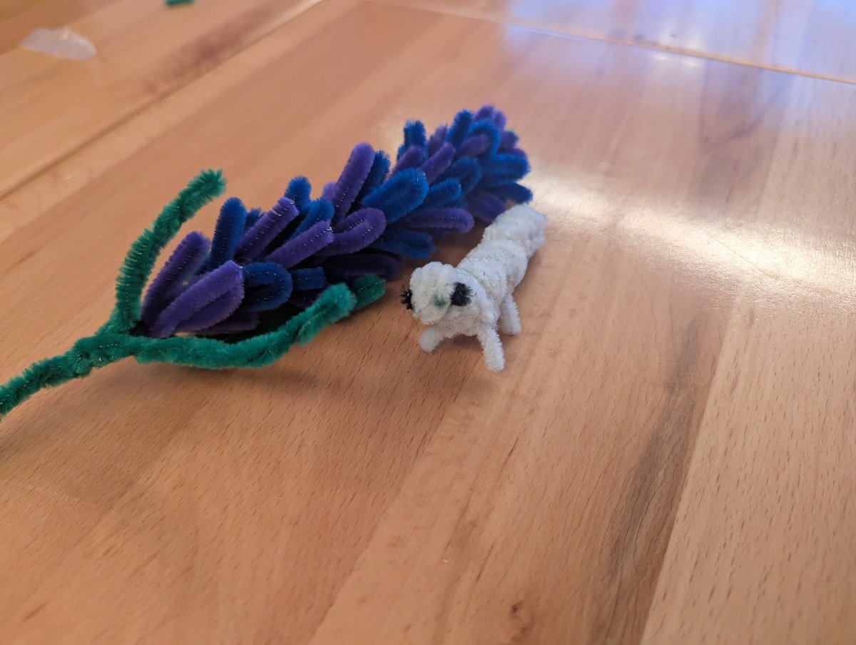 patchworkbearss's tweet image. Trailer was cool as fuxk
Lookit this brushbug I made out of pipe cleaners at work yesterday