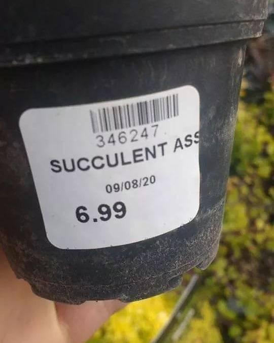 hmmm.jpg (@hmmm_jpg) on Twitter photo 