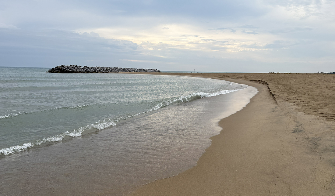 NOAA Sea Grant tweet media