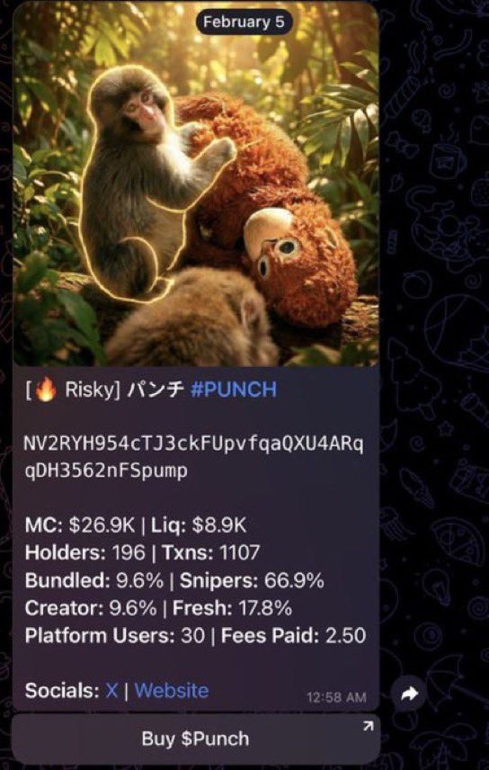 I CALLED $PUNCH AT 26k 1450x

Everyone in the telegram made alot of money.

Imagine this you buy a memecoin and completely forget about it for a few days.

You invest $1,000, and when you check your wallet, it’s worth $1.4M.

This is crypto, where anything is possible. You don’t
