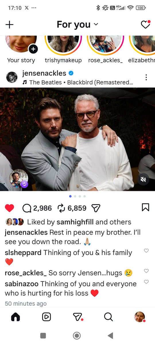 anna little tweet media