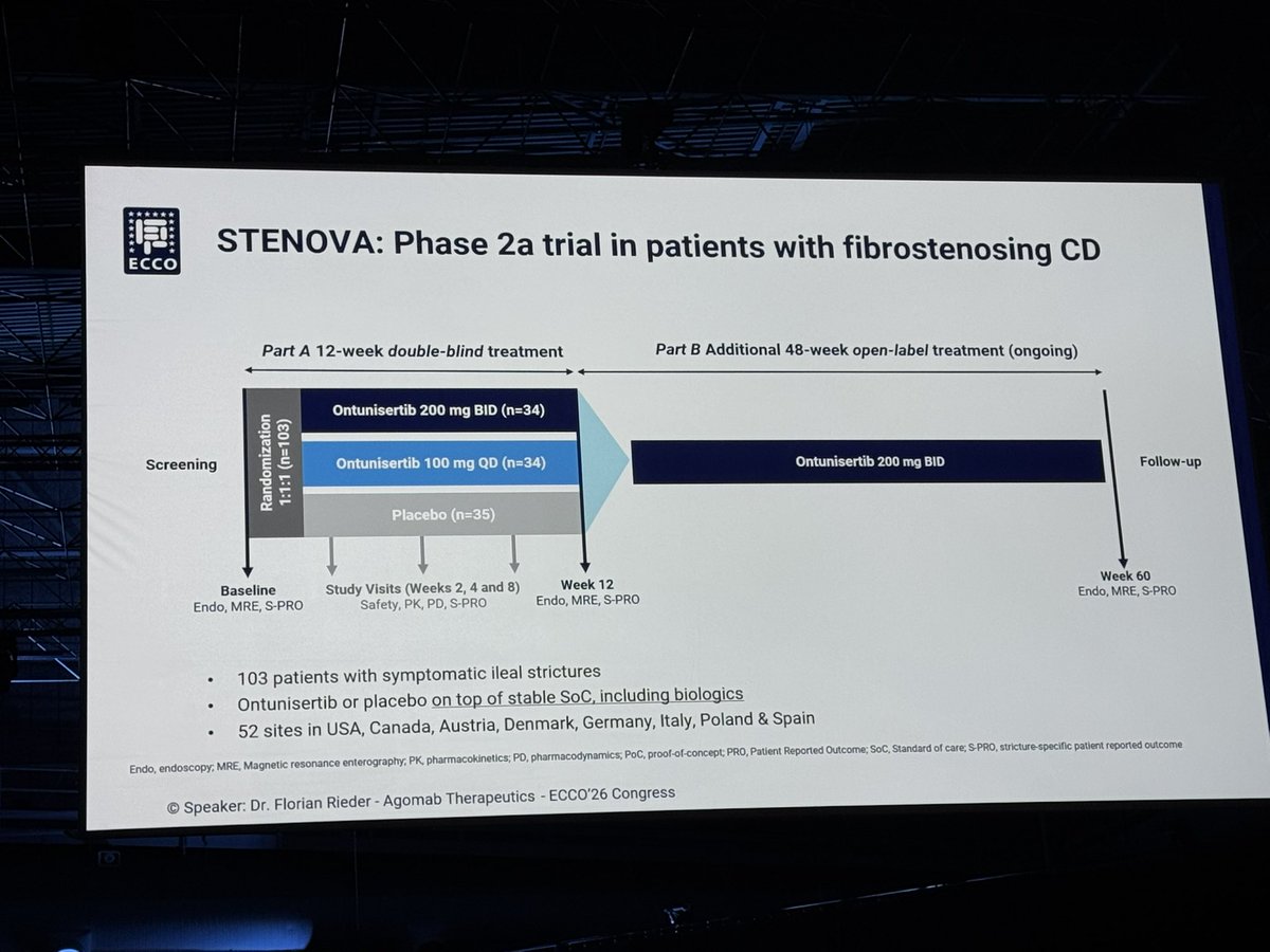 Cathy Lu tweet media