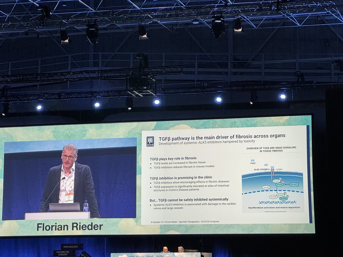 Cathy Lu tweet media