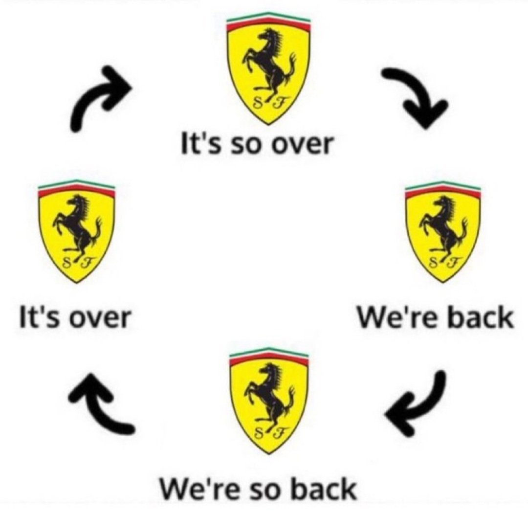 luiz_buck's tweet photo. @MattP1Gallagher We are so back!!! https://t.co/Gi6Y2UYwjS