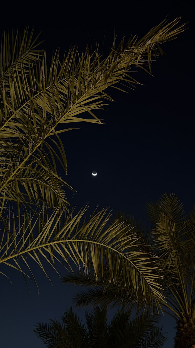 iak2ii's tweet photo. 🌙 https://t.co/otxMEdu9CQ