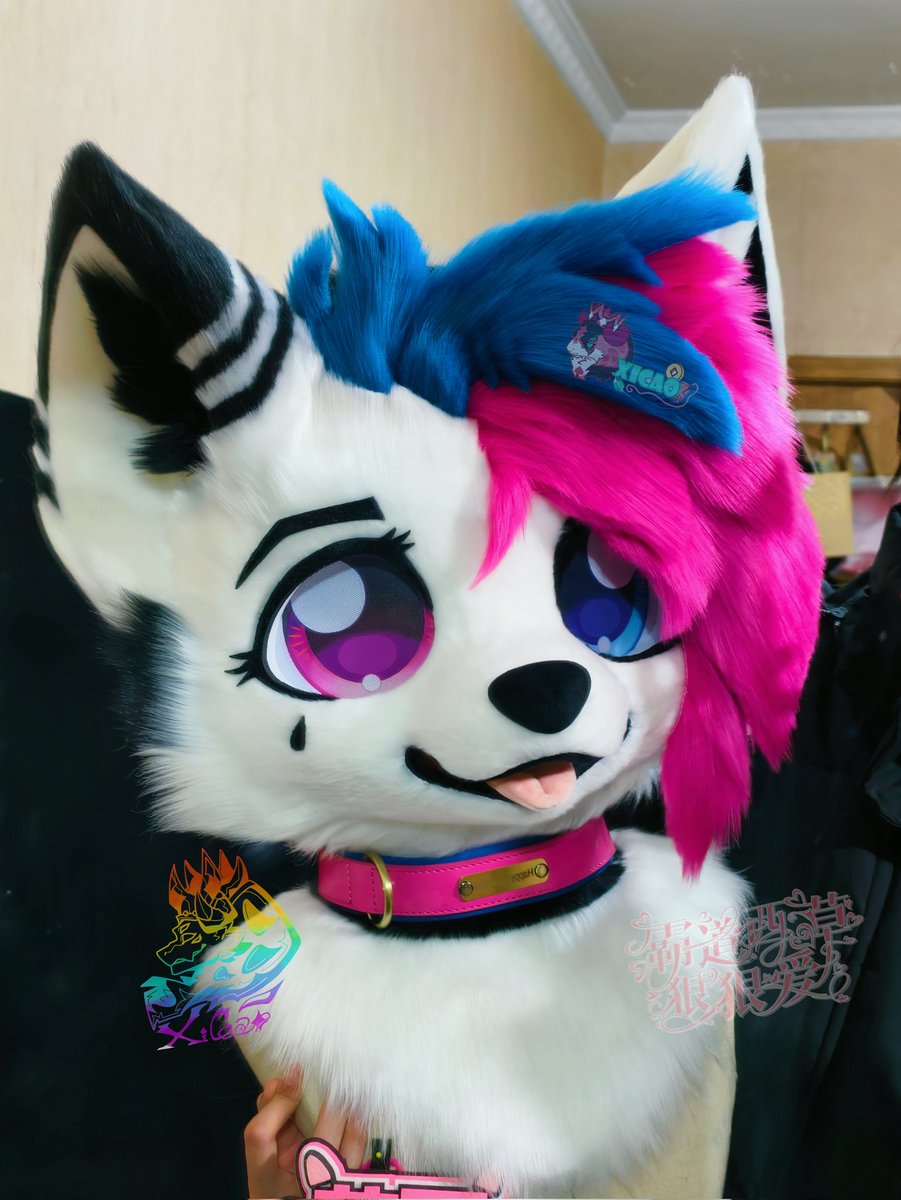 西草Xicao tweet media