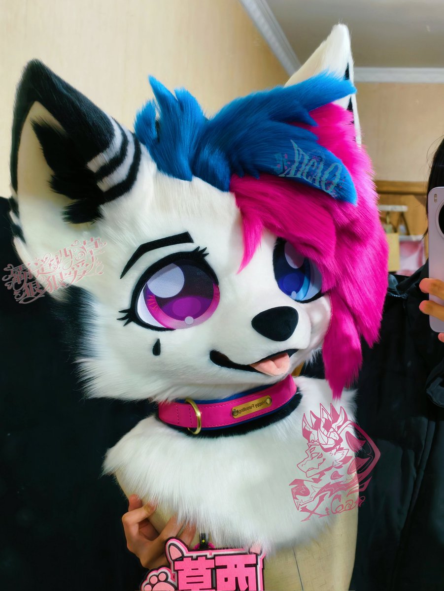 西草Xicao tweet media