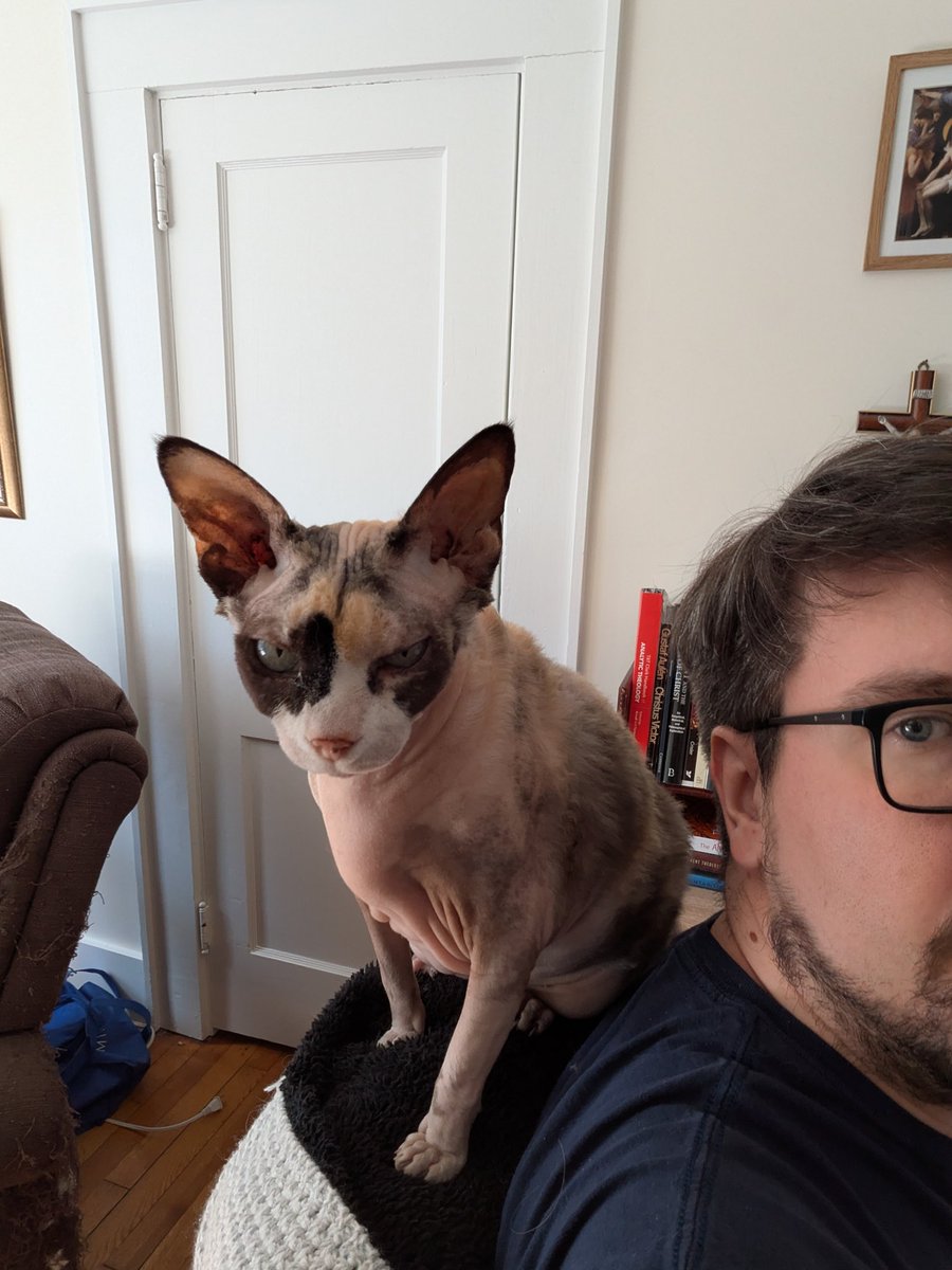 Aaron Brian Davis tweet media