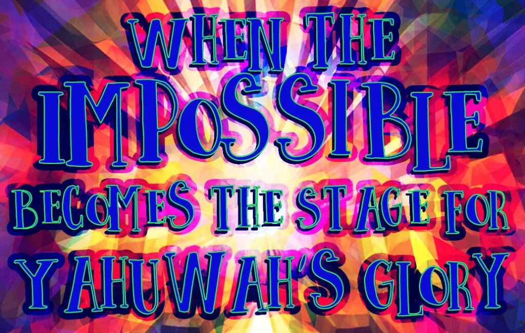 World's Last Chance tweet media