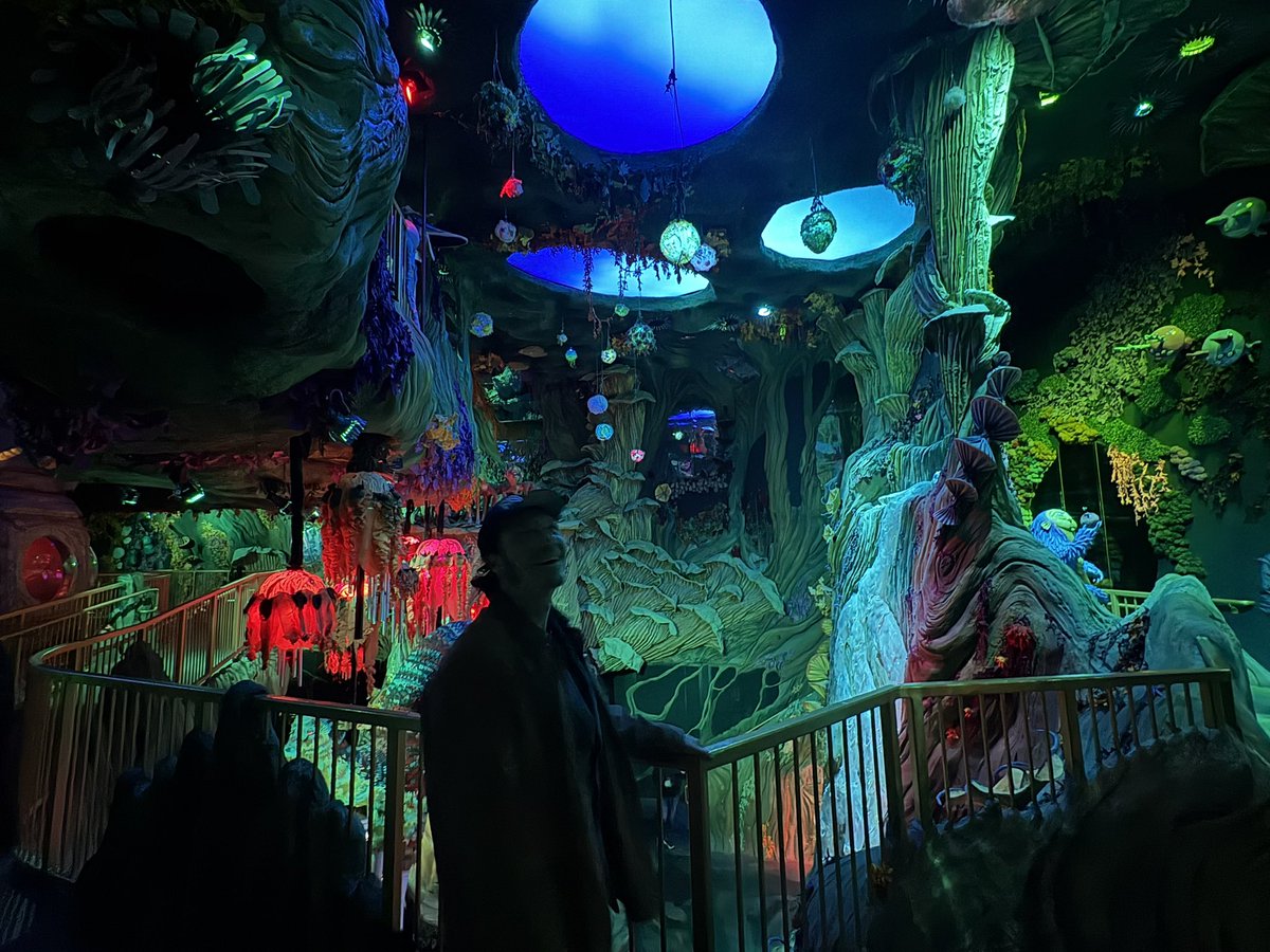 shibatarzan.booe.eth tweet media