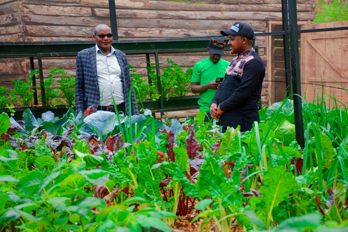 Ngororero District tweet media