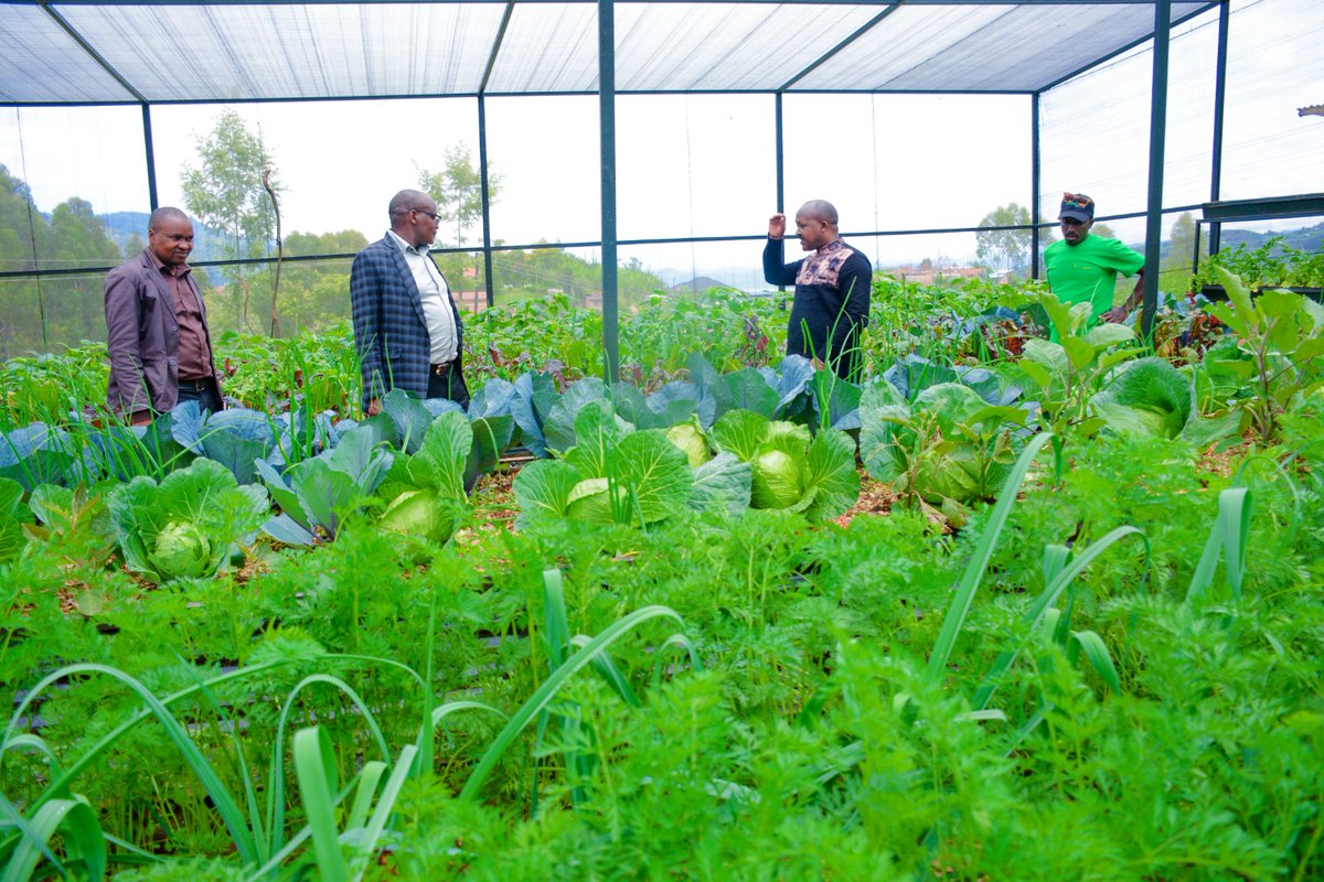 Ngororero District tweet media