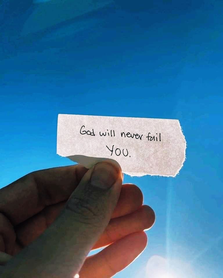 Holy Bible tweet media