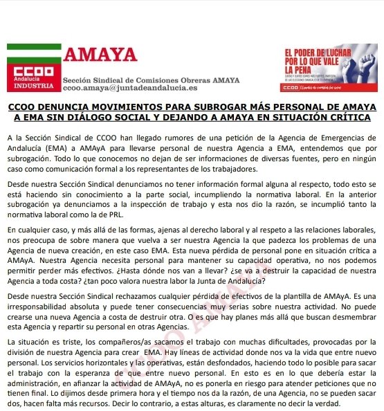 CCOO AMAYA tweet media