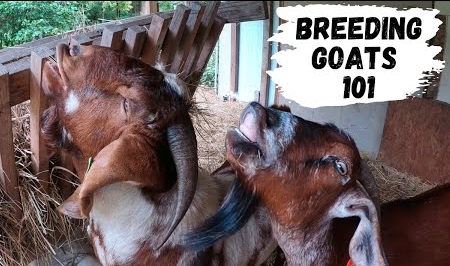 This is Zohran Mamdami plan to get himself rich and to make more subservient Democrats.  We tried to warn you...
Democrats = Greatest Obstruction to American Tranquility...
Enjoy your TAXES...
That just what communists do...