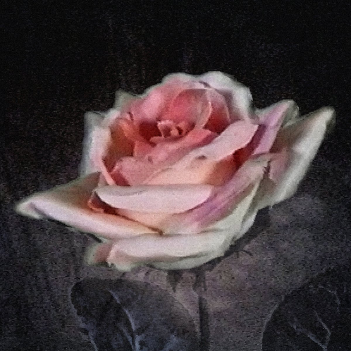 Pearly Drops' latest single "Heaven" is unsettling saccharine synth-pop 

stereogum.com/2489801/pearly…