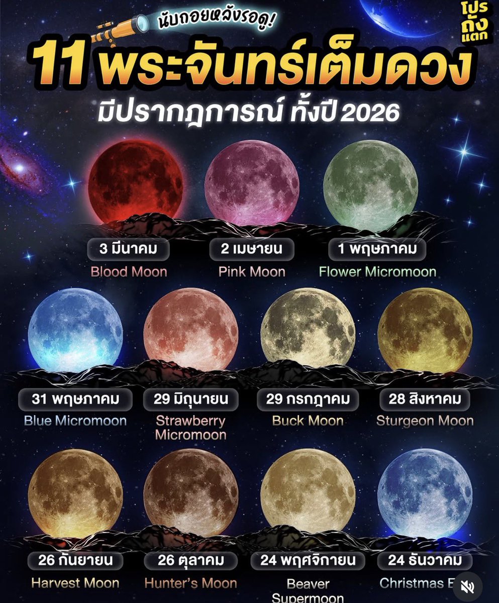 อัพเดทตารางงาน <a href="/ENHYPEN/">ENHYPEN OFFICIAL</a>