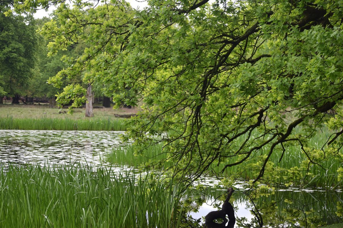 Landscape Institute tweet media