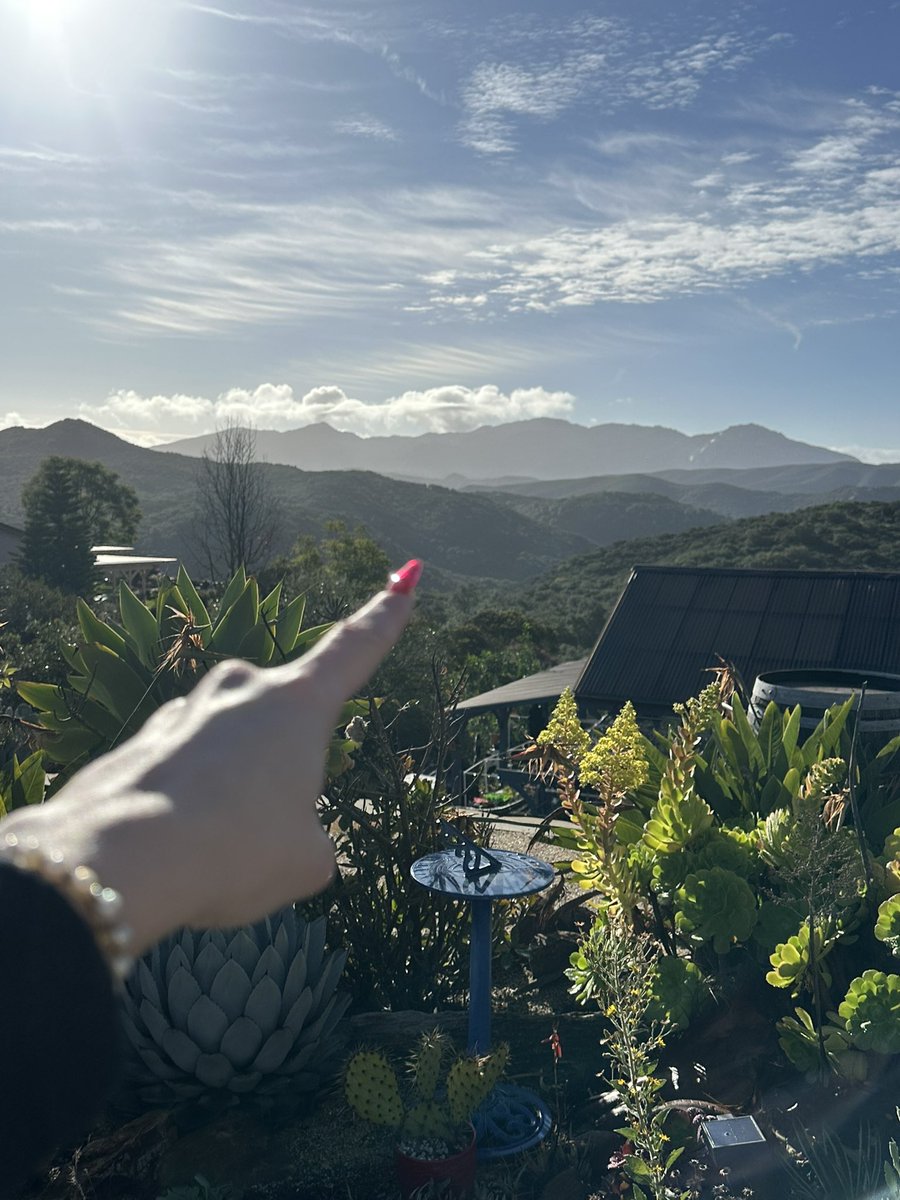 marina 🌸 tweet media