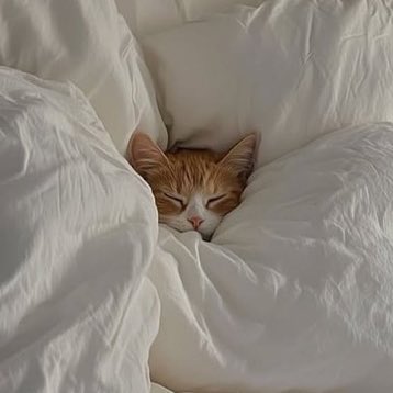 ⠀⠀⠀⡰⡀⠀⠀⣠⡀⠀⠀⠀⡰⡶⠀⠀⠀
⠀⢀⠎⠀⠈⠉⠉⠁⠱⣄⣀⣀⡅⣇⠀⠀⠀
⠀⢸⠀⠤⠄⠀.. .⠀ ⡇⠀⠀⠀⠈⣗⡶⠆
⣠⣊⡱⠤⠤⢤⡤⢤⡾⠕⠒⠊⠉⠁⠀⠀⠀
⠀⠀⠀⠀⠀⠓⠚⠁