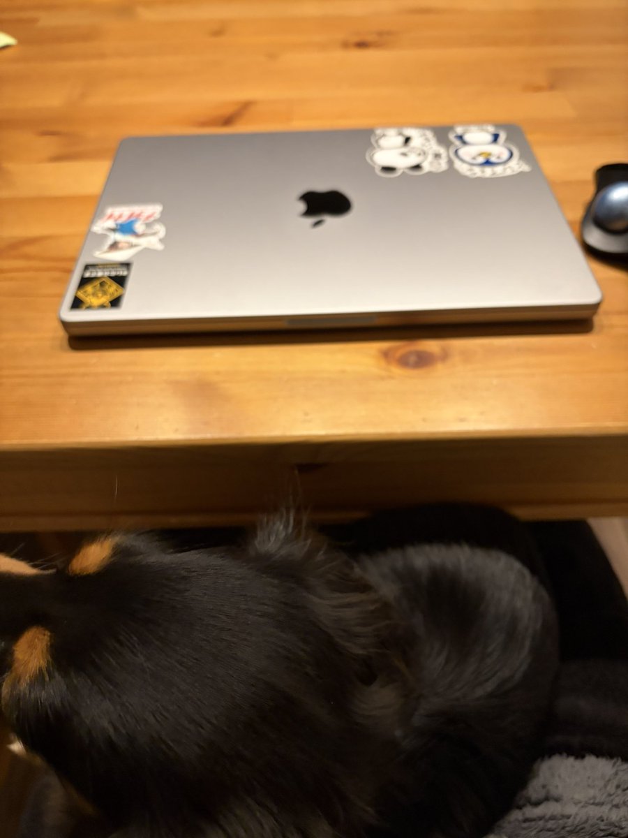 Daisuke__Ho's tweet photo. 記憶が飛ぶような1週間だった。
忙しかった人、踏ん張った人、乗り越えた人、上手くいかなかった人、悔しかった人…みんな必ず成長できてると思います。
今週も本当にお疲れさまでした。 https://t.co/tdilO3WI3E