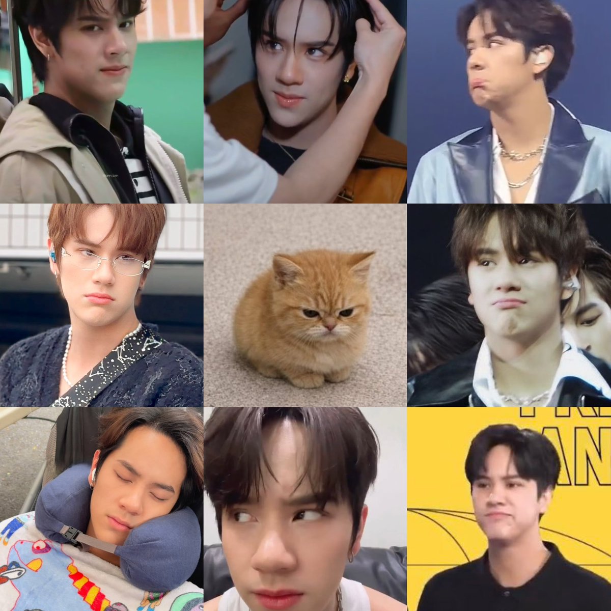 offortunitay's tweet photo. 😾 https://t.co/108j6puKlH