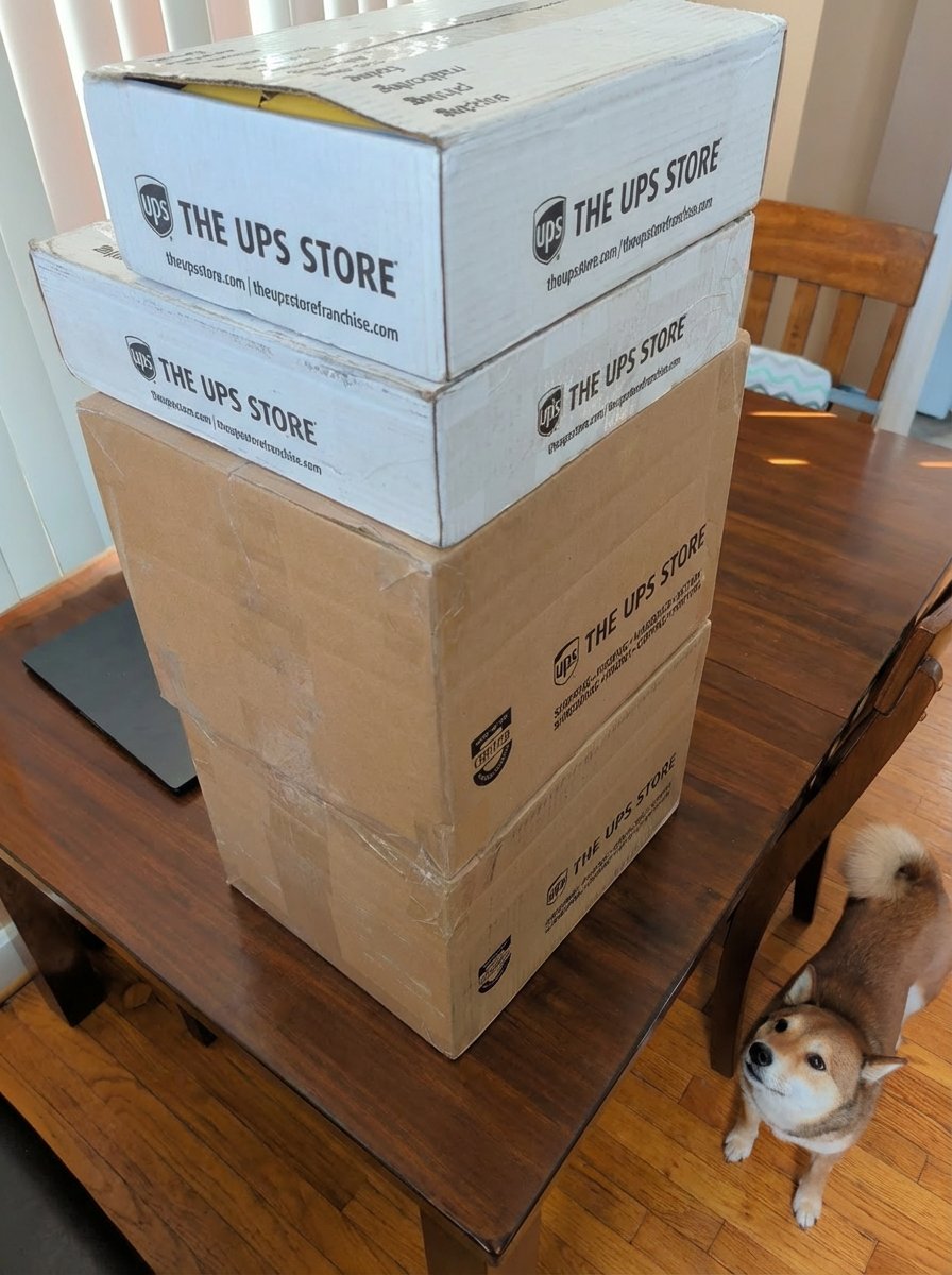 Bat Vibes tweet media