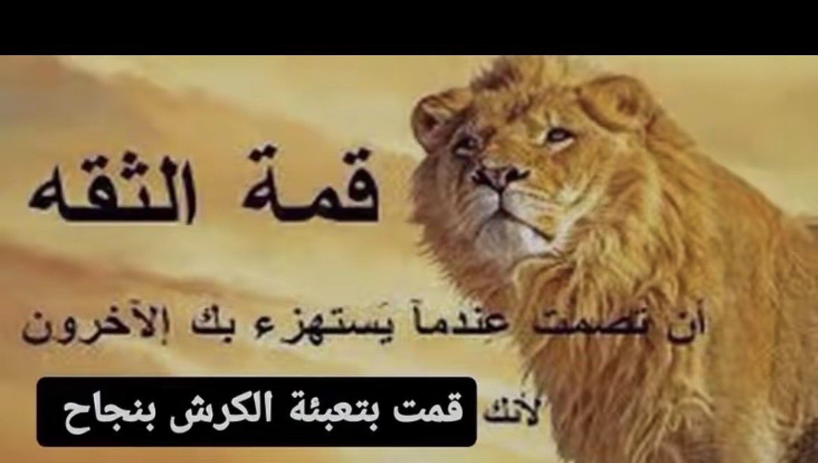 #تم_تعبئة_الكرش_بنجاح