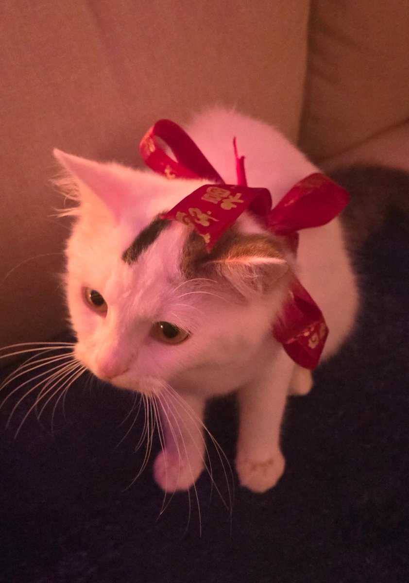 Christopher tweet media