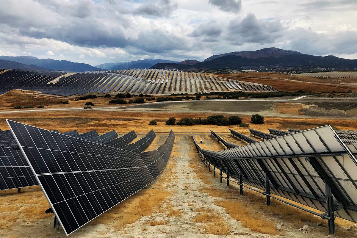 🚨😁🚨 ¿Y ahora qué, quién planta los olivos otra vez?

📰La Justicia declara «nulas» las licencias para placas solares en olivares de Jaén: «Se concedieron en fraude de ley»

El Tribunal de Instancia número 2 de Andújar (Jaén) ha considerado en un auto que las licencias para