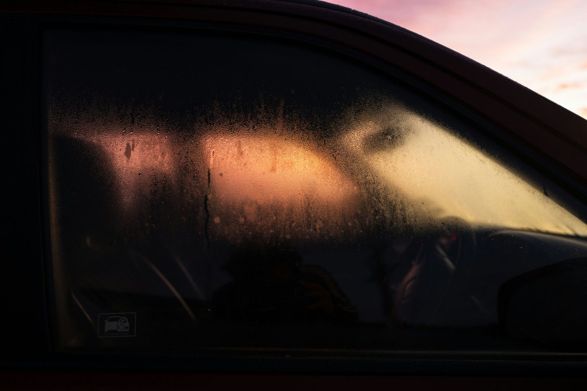 monkeybicycle tweet media