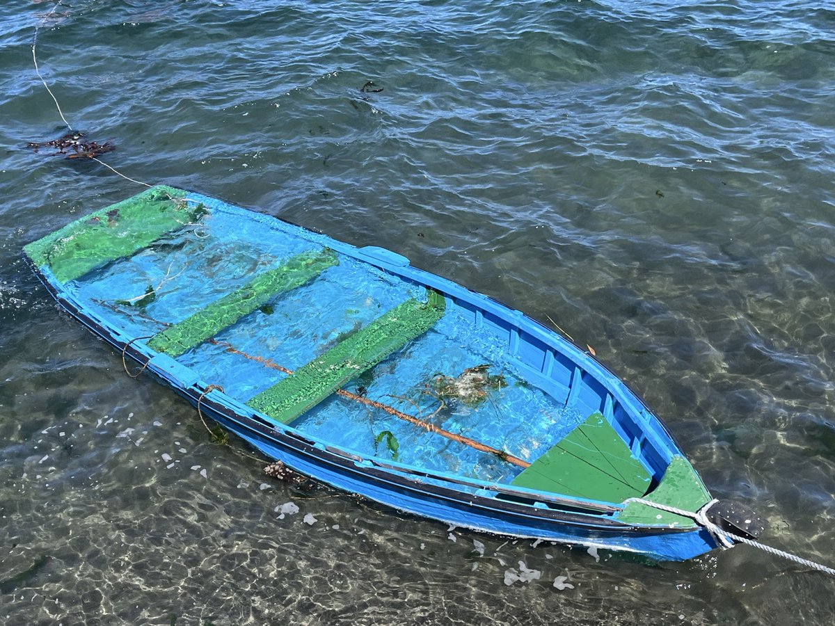 Claudia Cortes tweet media