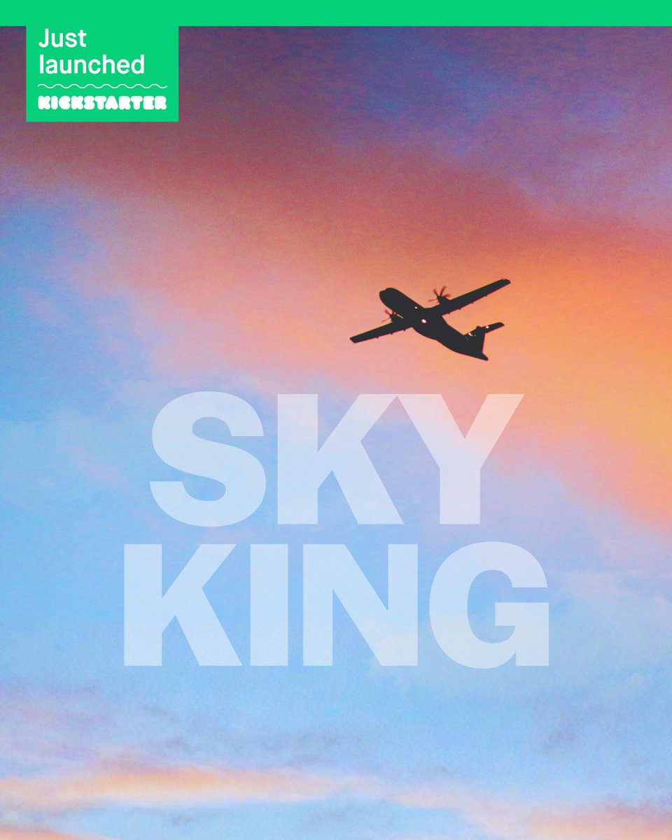 Sky King tweet media