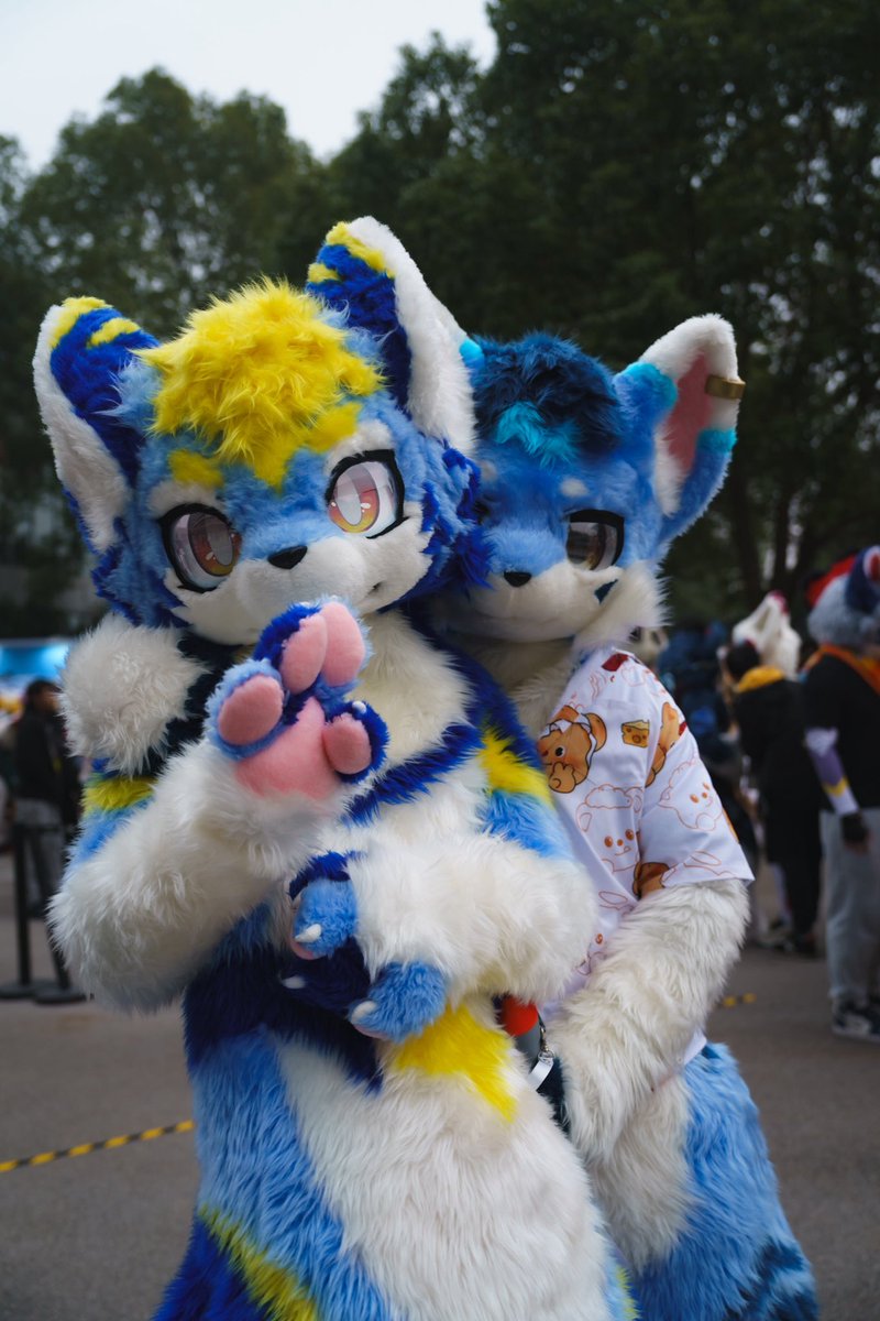 橙色噬元兽🔜Hifurry tweet media