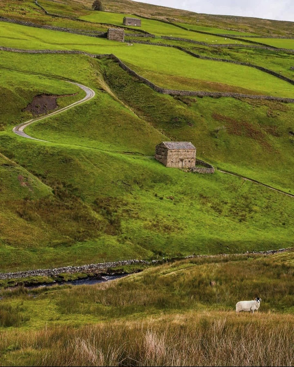 North Yorkshire tweet media