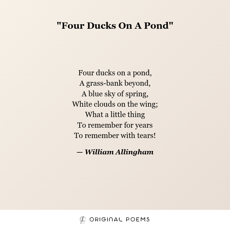 0riginalpoems's tweet photo. In just a few lines, William Allingham reminds us how the simplest spring scene, ducks, sky, clouds, can linger for a lifetime. A tiny lyric about memory, tenderness, and how ordinary beauty becomes sacred with time.
#Poetry #WilliamAllingham #OriginalPoems https://t.co/mV61gg3SvI