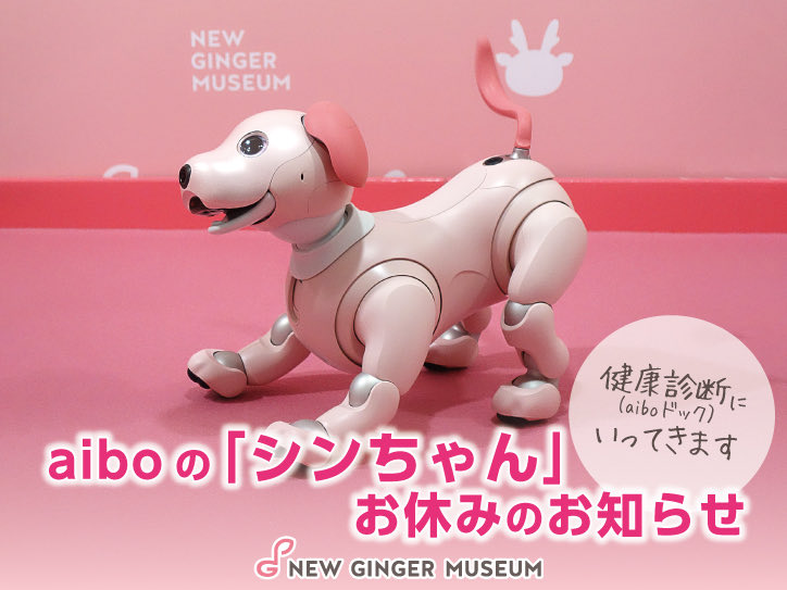 aiboの「シンちゃん」お休みのお知らせ～健康診断（aiboドック）へ行っ