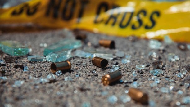 SkandalNews tweet media