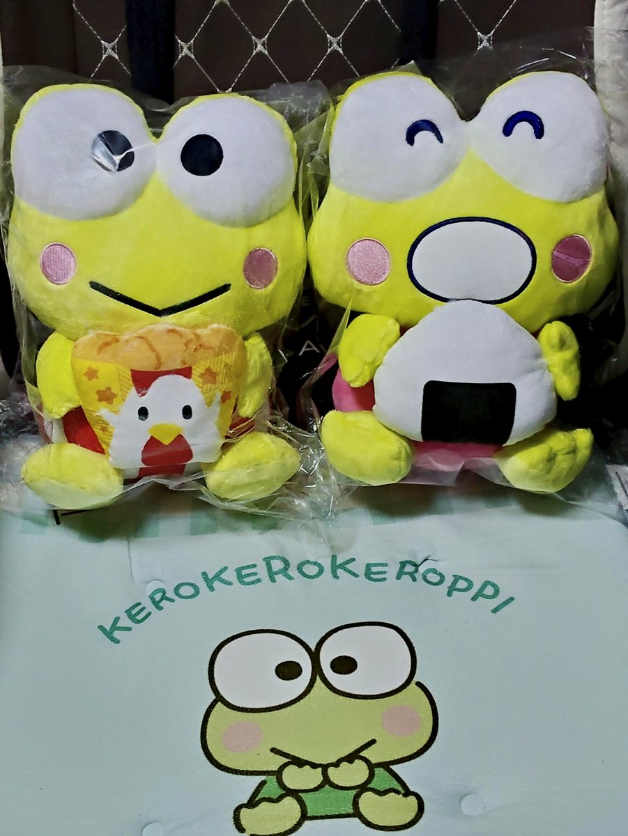 蓮の上けろっぴ (@kero2keroppi) / Posts / X