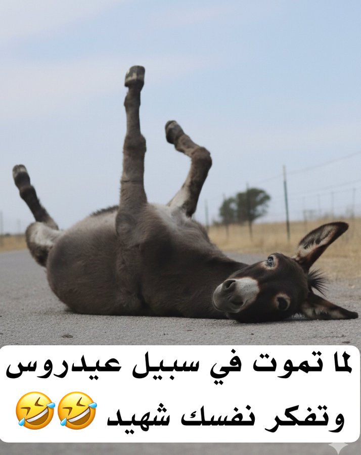 لما تموت في سبيل #عيدروس وتفكر انك شهيد 😂🤣🔥