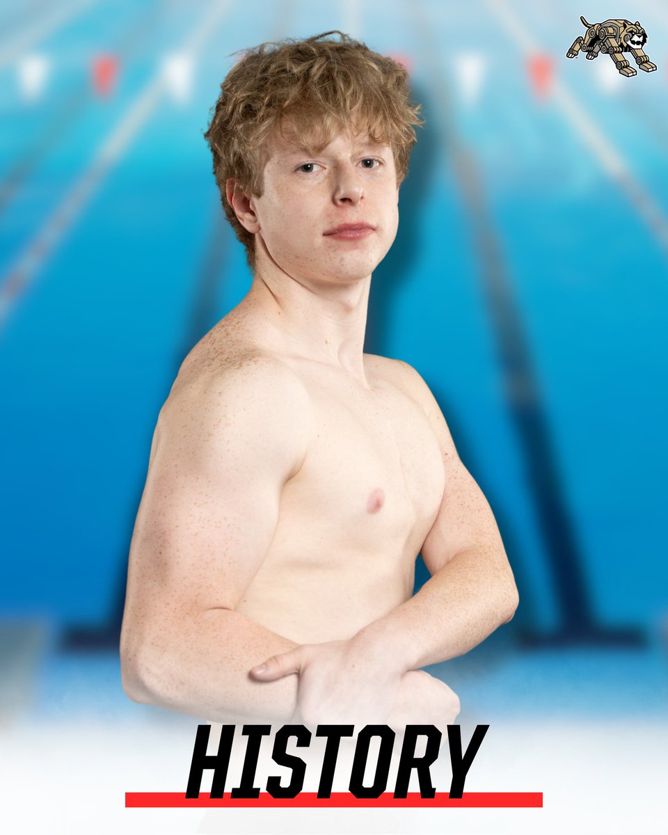 PPHS Broad Ripple Lynx Athletic Department tweet media