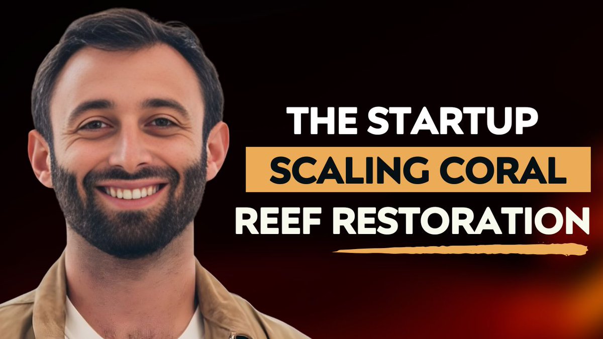 Brian Bell tweet media